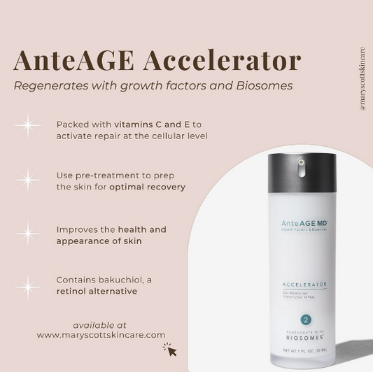 AnteAGE Accelerator